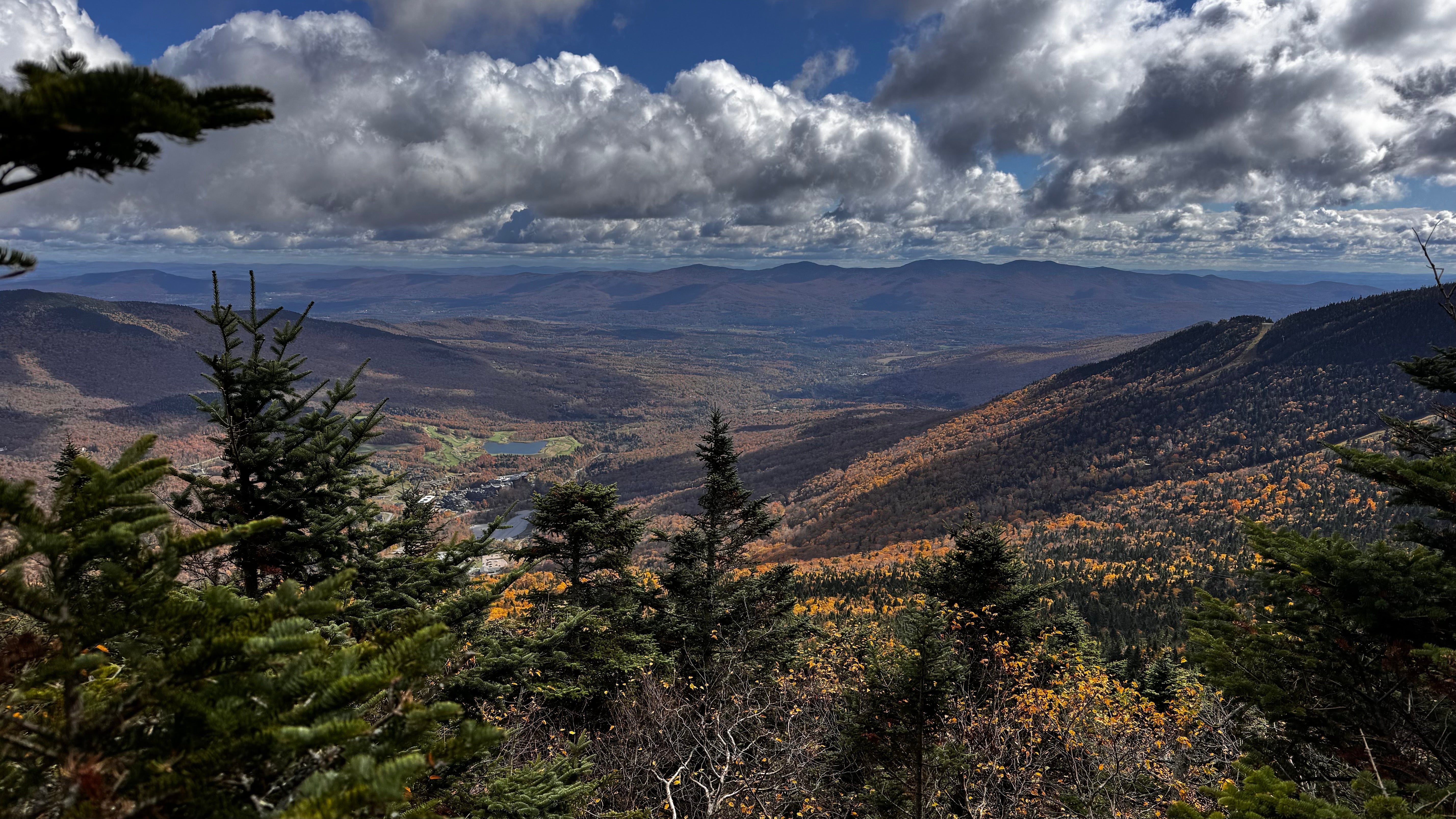 Man drinking beer with Bigfoot by a campfire in a Vermont pine forest, wearing an orange hiking shirt. Keywords: outdoor adventure, camping, Vermont, fall foliage, Bigfoot hiker.