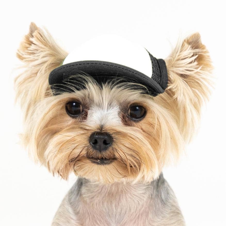 Custom Black Dog Hat