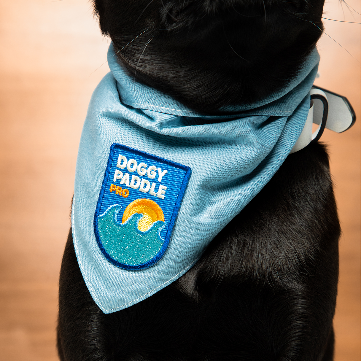 Doggy Paddle Pro iron-on patch for dogs