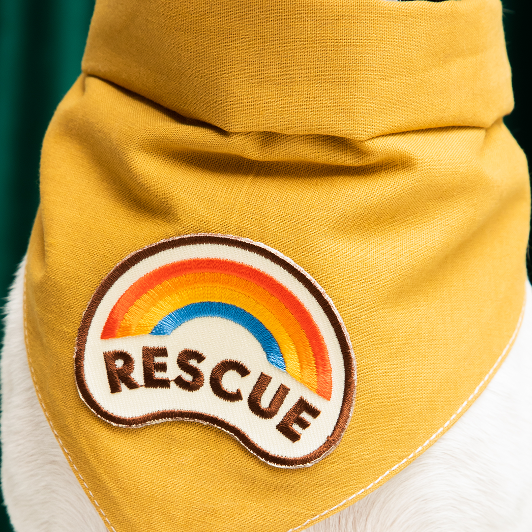 Rescue iron-on patch for dogs and cats