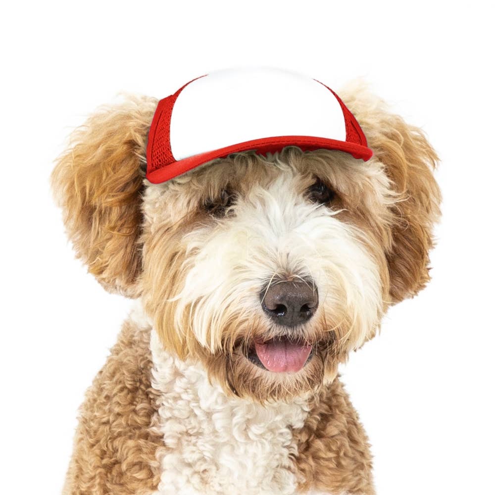 Custom Red Dog Hat