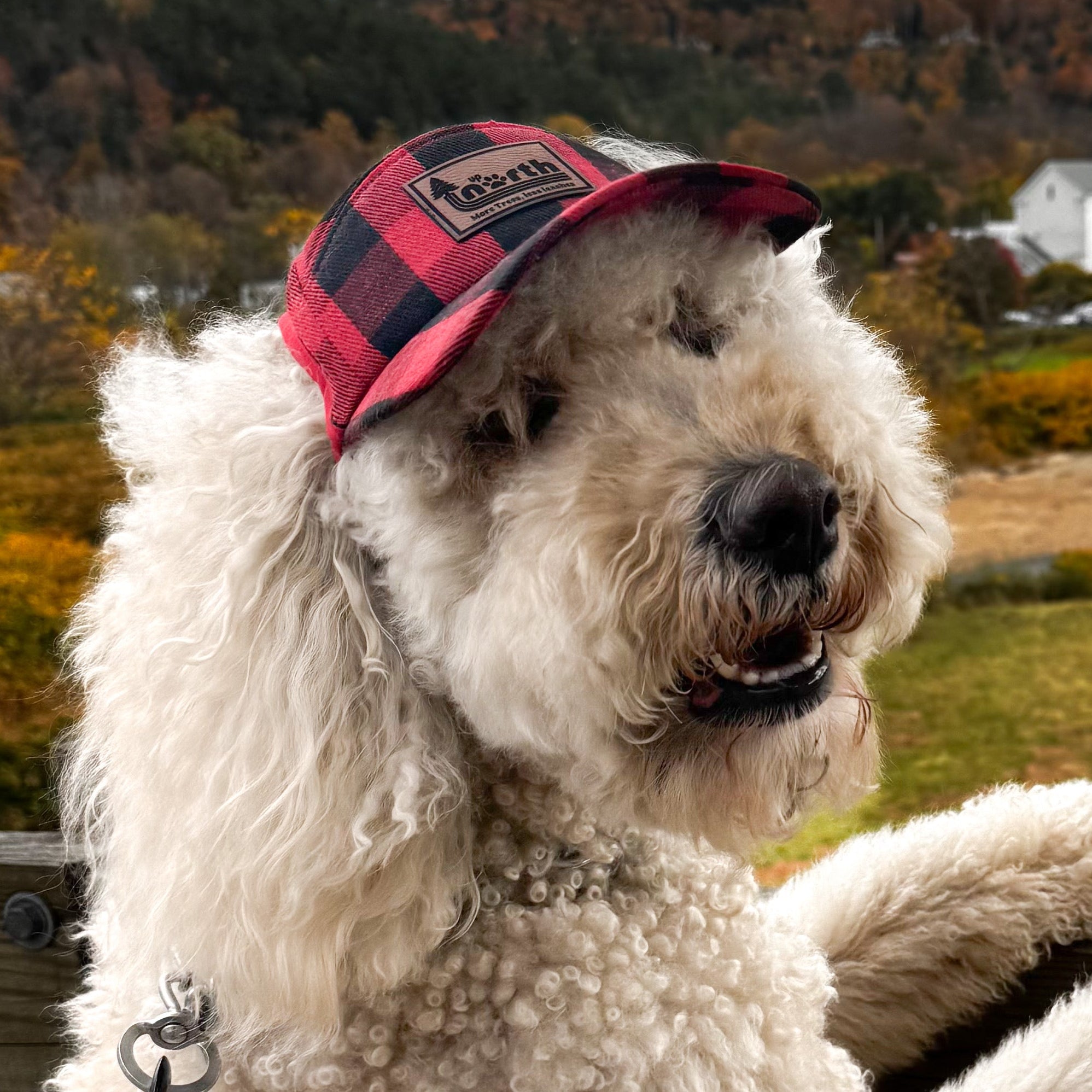 Custom Red PlaidDog Trucker Hat