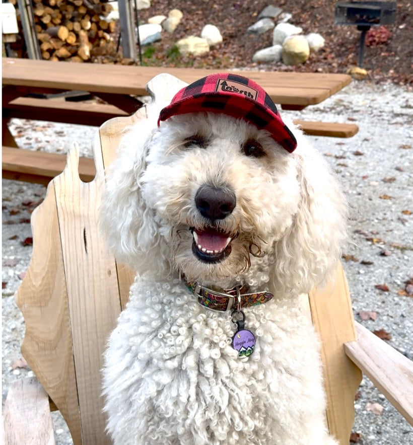 Up North Plaid Dog Pup Trucker Hat