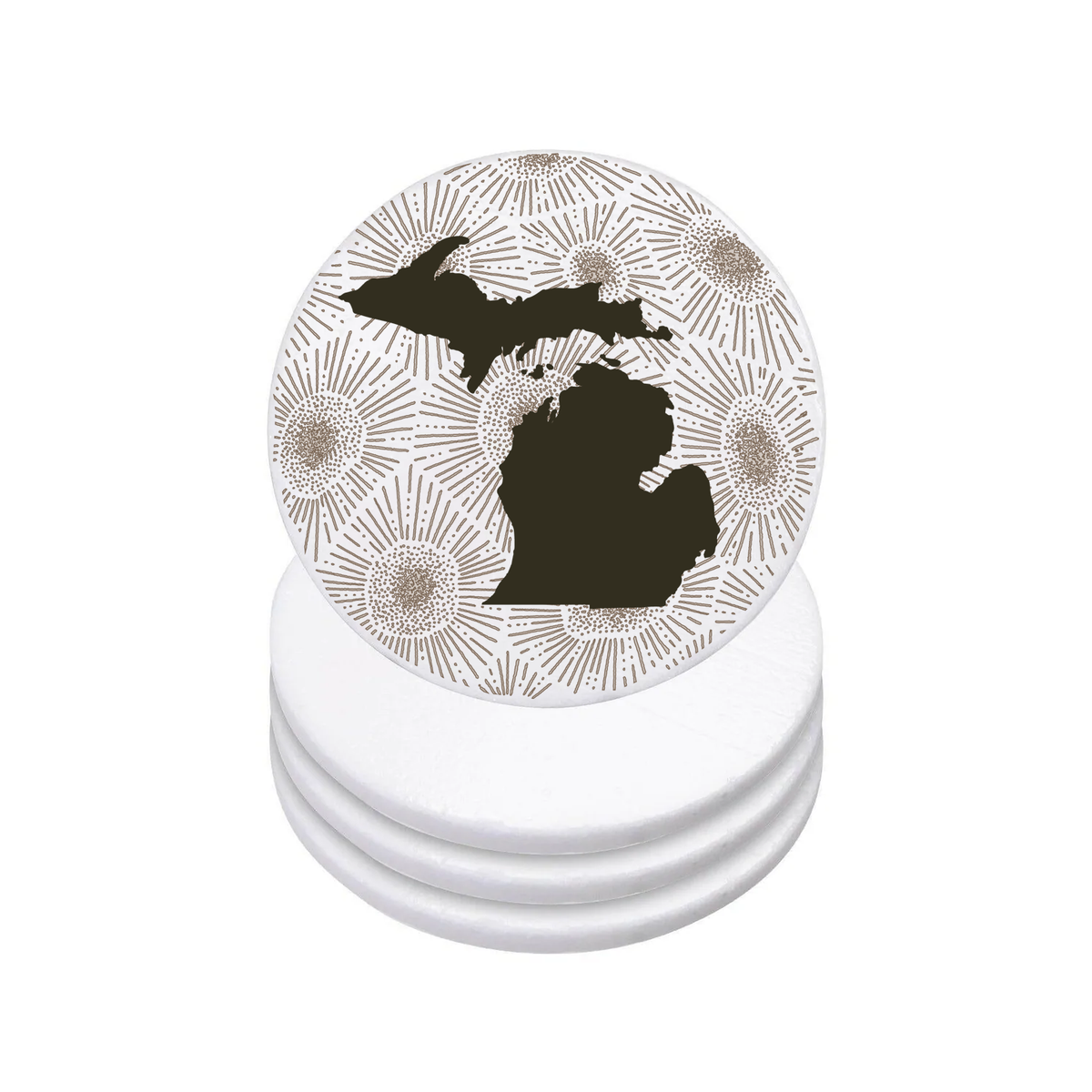 Michigan Petoskey Coaster