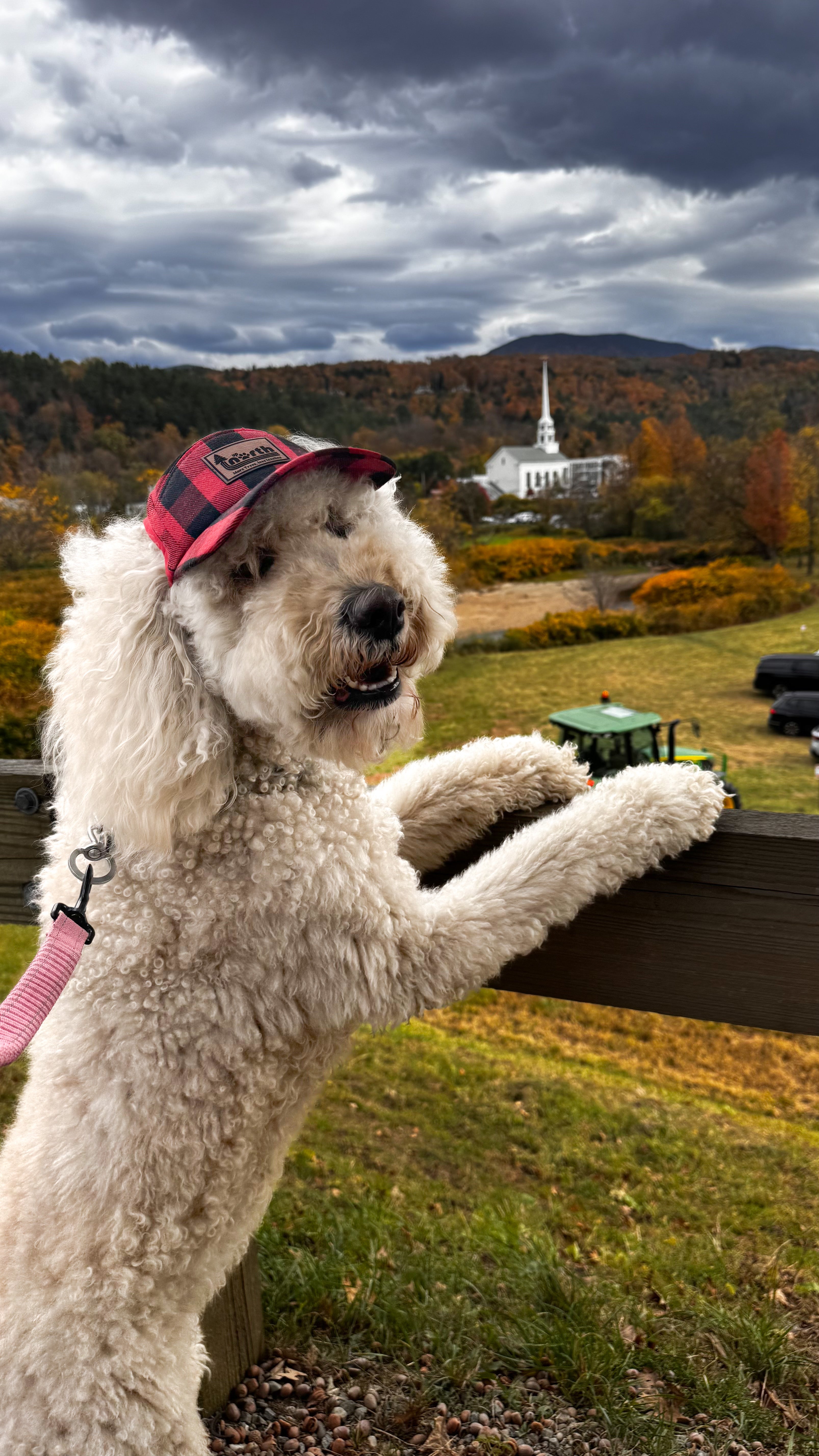 Maggie goes to Vermont