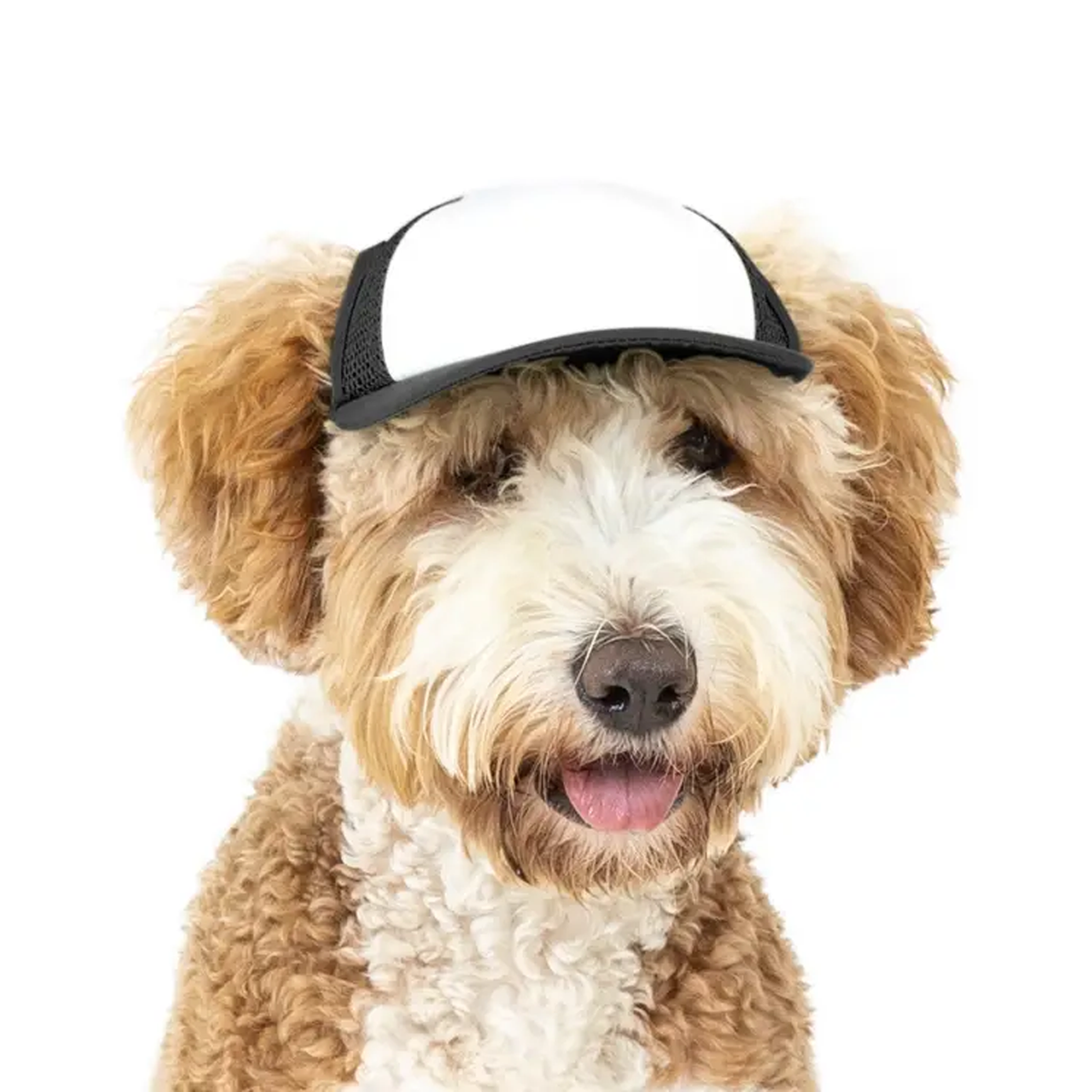 Dog Trucker Hat XS